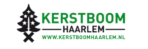 Kerstboom Haarlem
