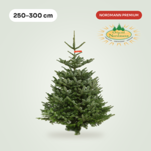Nordmann 250 - 300 cm PREMIUM